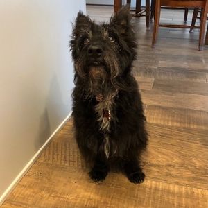 Meet your Posher, Janice